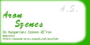 aron szenes business card